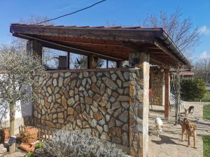 Wooden Barbecue and Carport in Sokolovo – photo 4